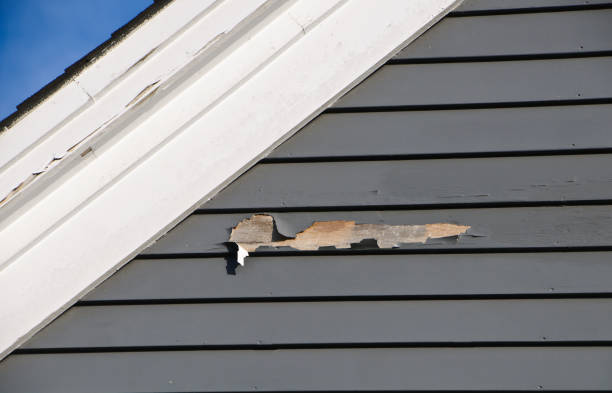 Same-Day Junk Removal Services in Franklinton, NC